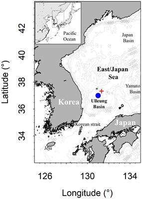 Oxygen isotopic fractionation during dissolved oxygen consumption in the bottom layer of the Ulleung Basin, East/Japan Sea